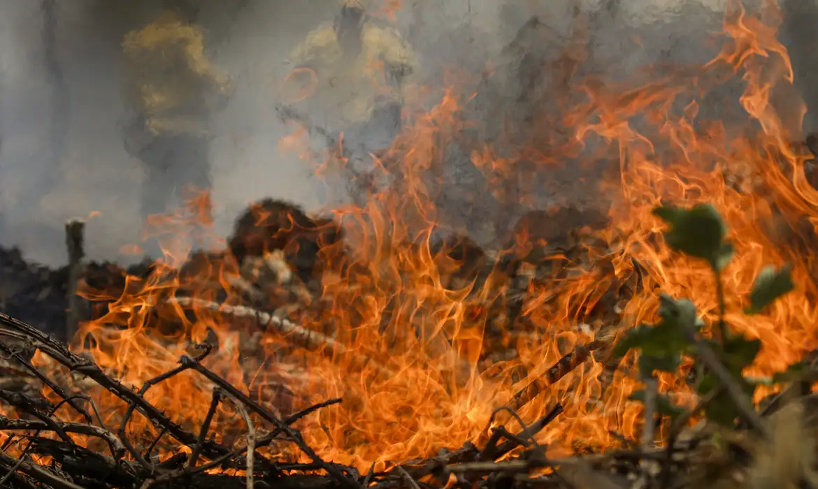 Cenário de incêndio no Pantanal é agravado 