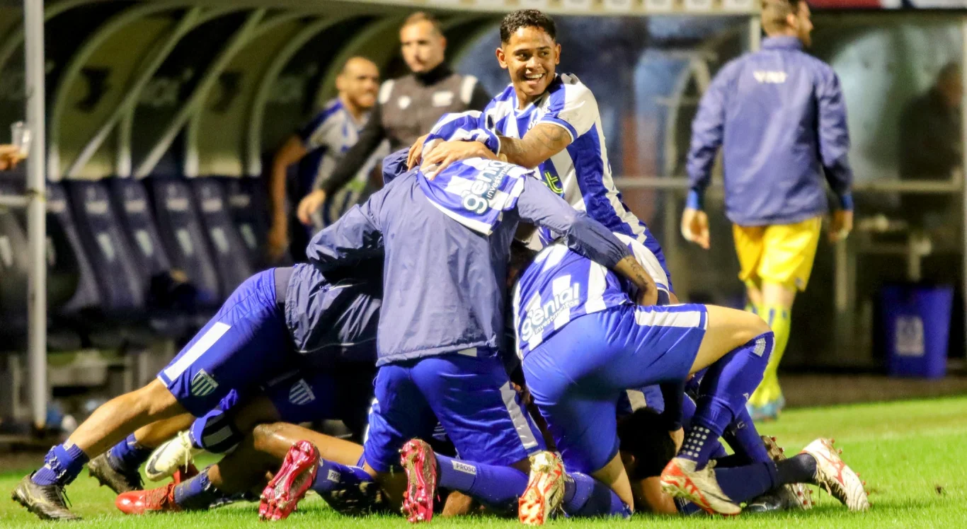 Imagem do time do Ava&iacute; em campo pelo Brasileir&atilde;o S&eacute;rie B