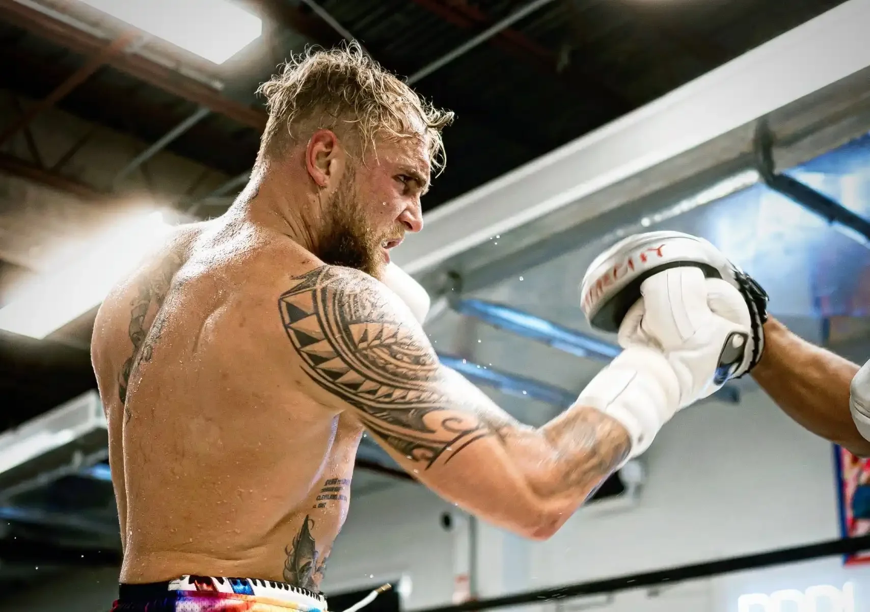 Jake Paul irá lutar contra Mike Perry