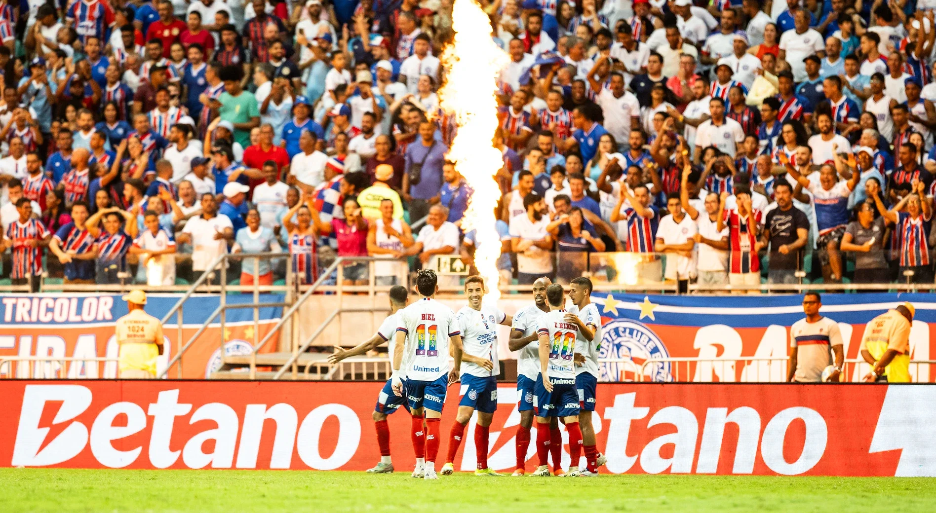 Elenco do Bahia celebrando gol marcado no Brasileirão com a torcida como plano de fundo