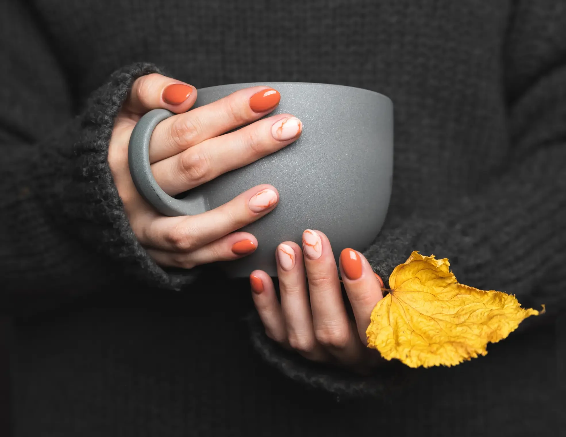 iStock - Dasha_Romanova