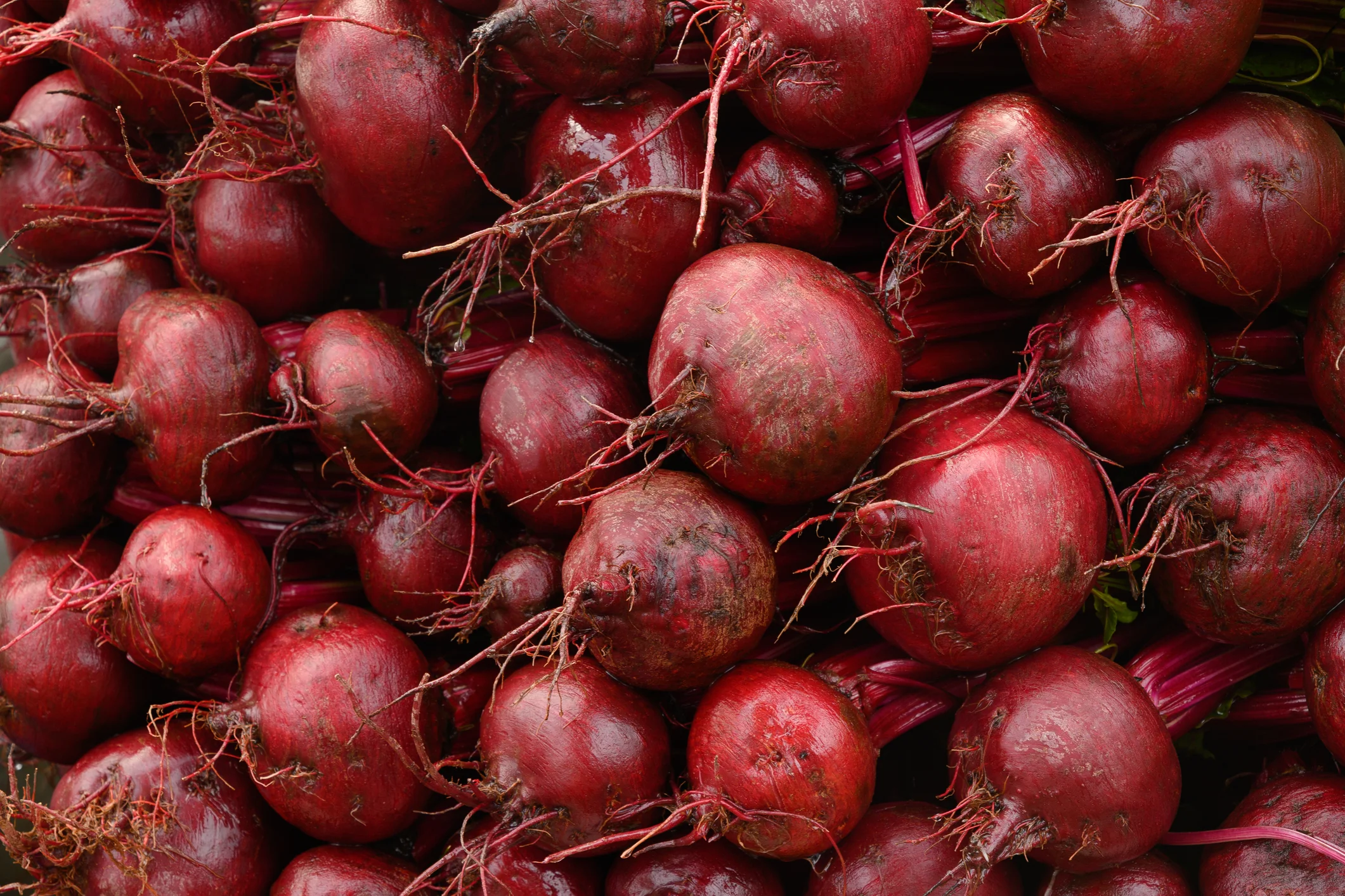 Foto: iStock
