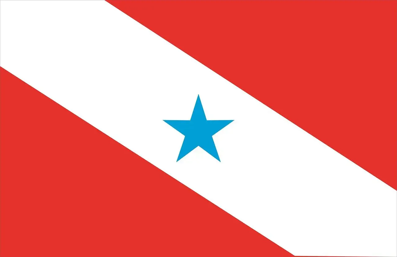 Imagem de bandeira do Pará