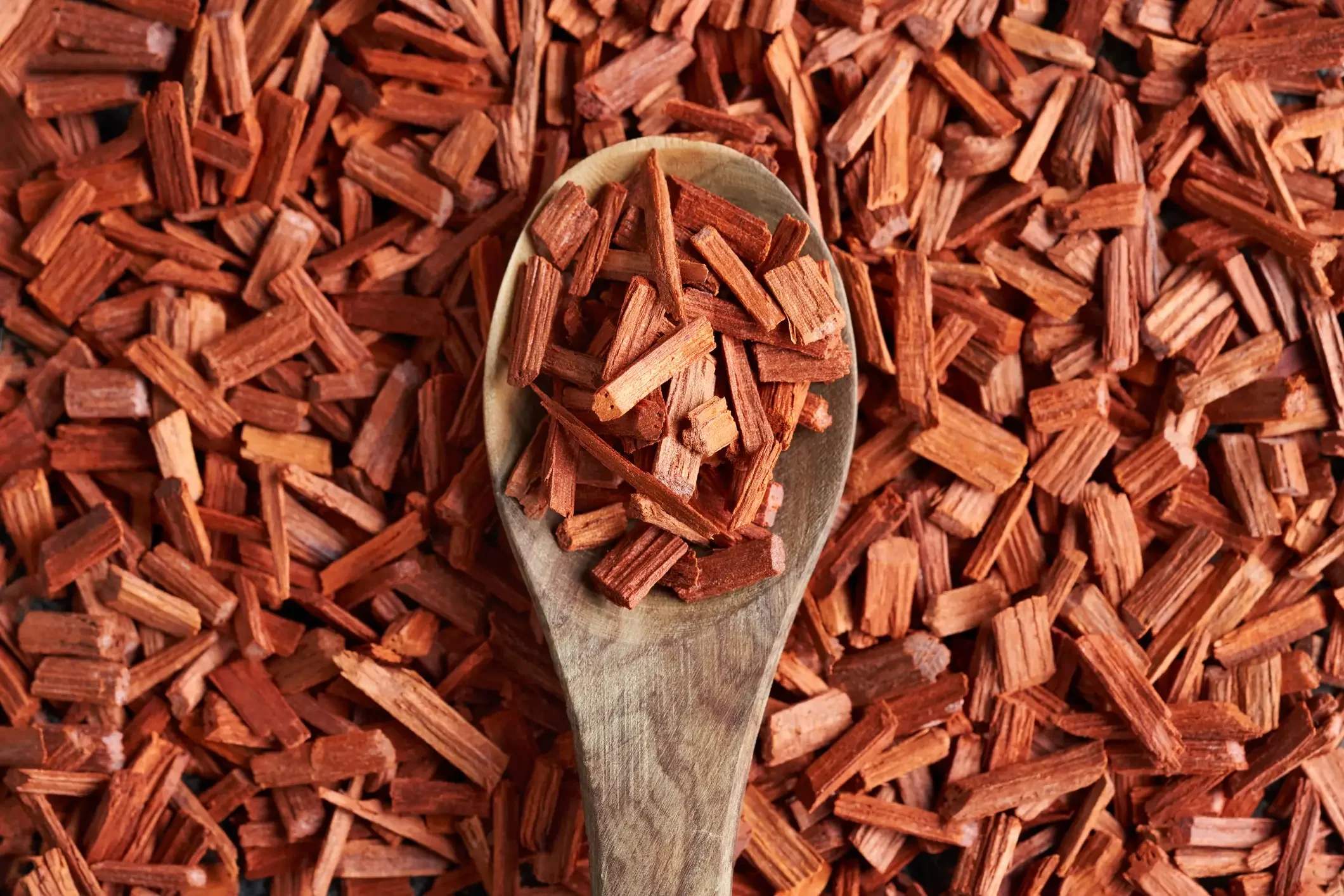 iStock - Madeleine_Steinbach