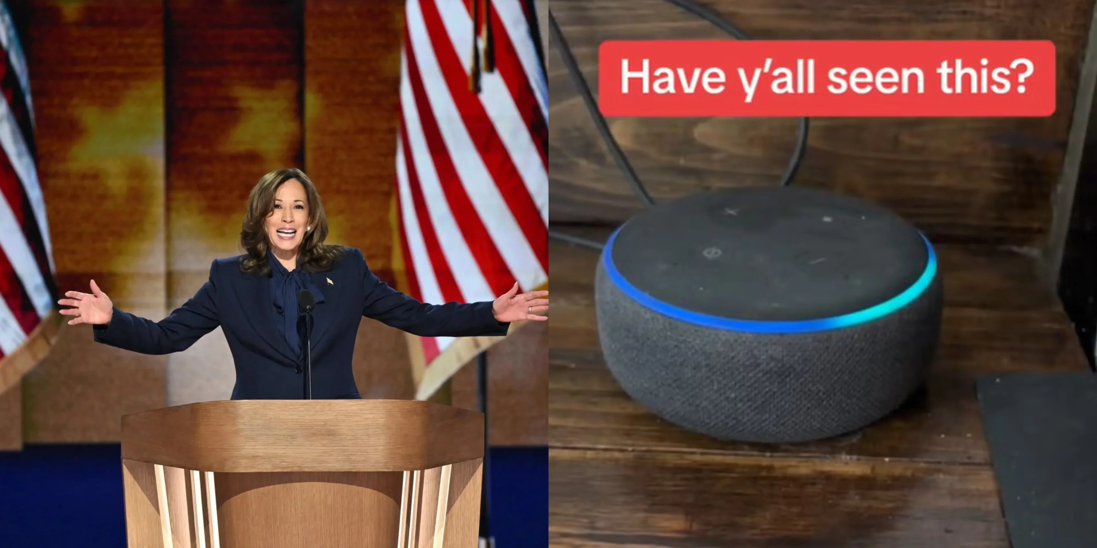 Imagem: Kamala Hrris, vice-presidente dos Estados Unidos e candidata à presidência ao lado de captura de tela de vídeo viral da Alexa no TikTok.