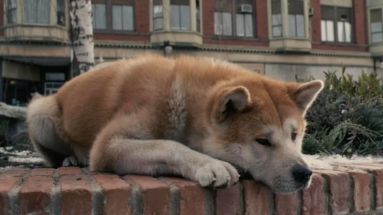 Imagem do filme Sempre Ao Seu Lado