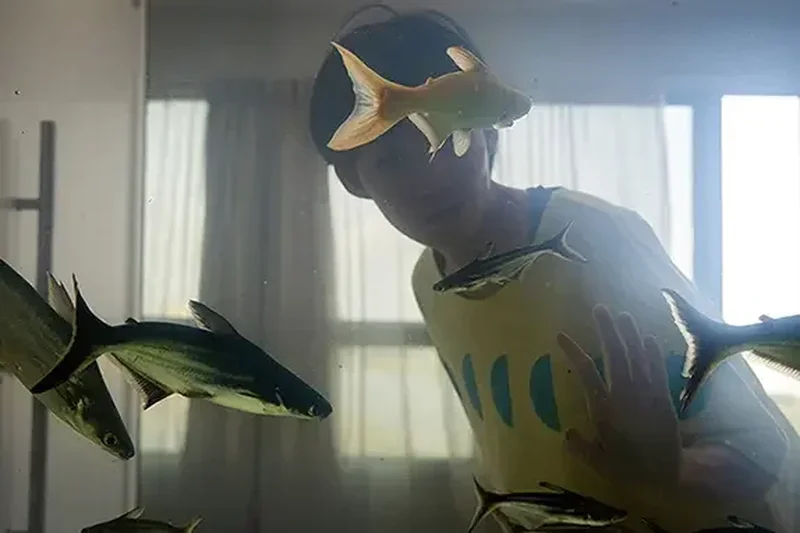 Cena do filme Dormir de Olhos Abertos