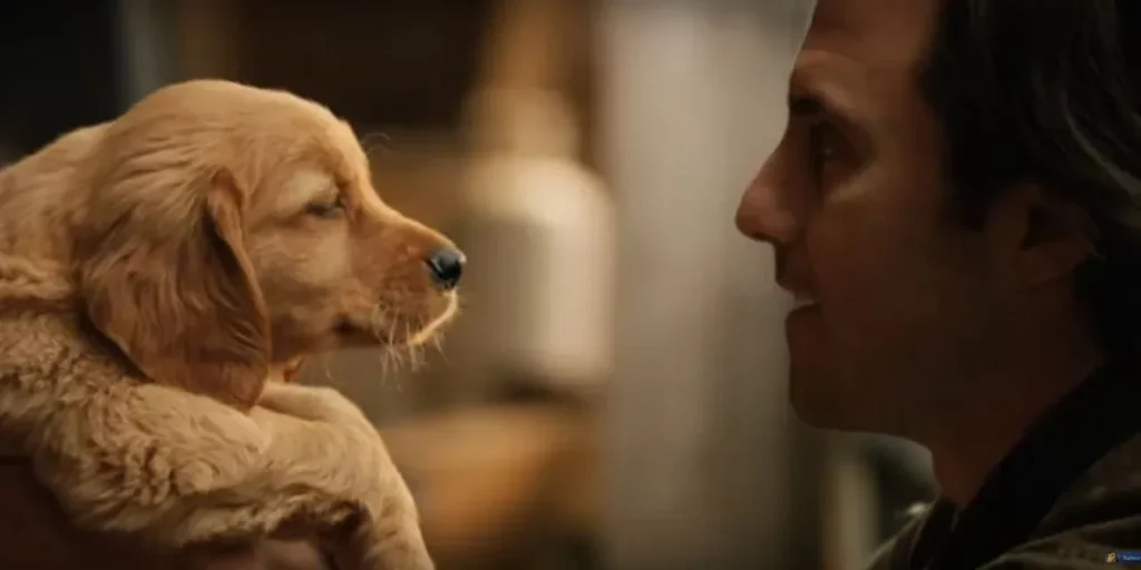 Sessão da Tarde – Saiba qual filme a Globo exibe nesta segunda-feira