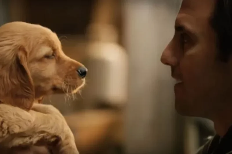 Sessão da Tarde – Saiba qual filme a Globo exibe nesta segunda-feira