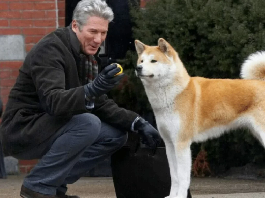 A comovente história real de lealdade entre homem e cão
