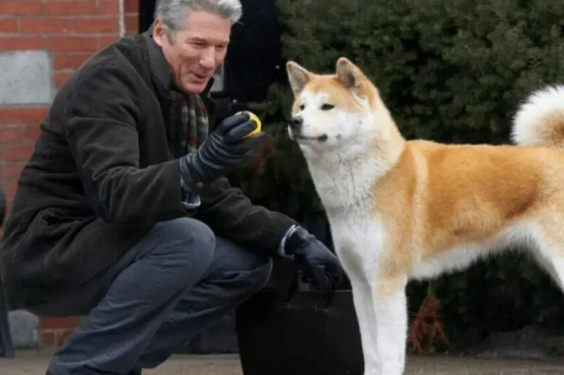 A tocante história de Hachiko ganha versão com Richard Gere no Prime Video